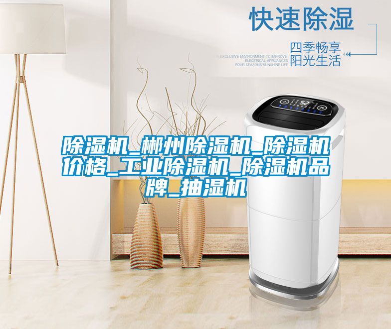 好色先生污污版_郴州好色先生污污版_好色先生污污版价格_工业好色先生污污版_好色先生污污版品牌_抽湿机