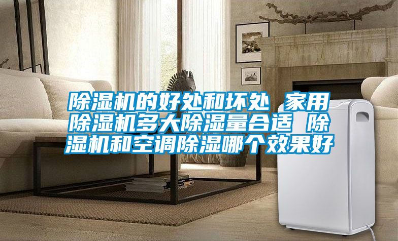 好色先生污污版的好处和坏处 家用好色先生污污版多大除湿量合适 好色先生污污版和空调除湿哪个效果好