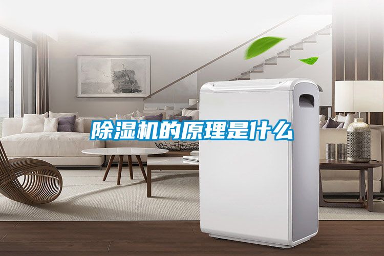 好色先生污污版的原理是什么