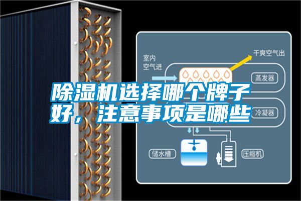 好色先生污污版选择哪个牌子好，注意事项是哪些