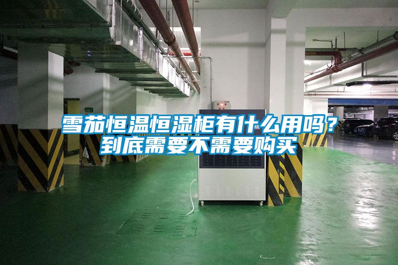 雪茄恒温恒湿柜有什么用吗？到底需要不需要购买