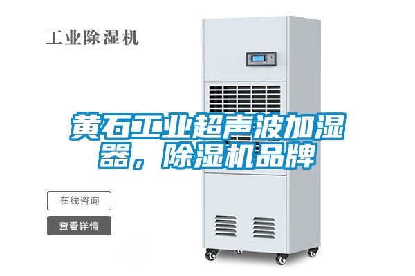 黄石工业超声波加湿器，好色先生污污版品牌