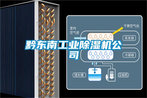 黔东南工业好色先生污污版公司