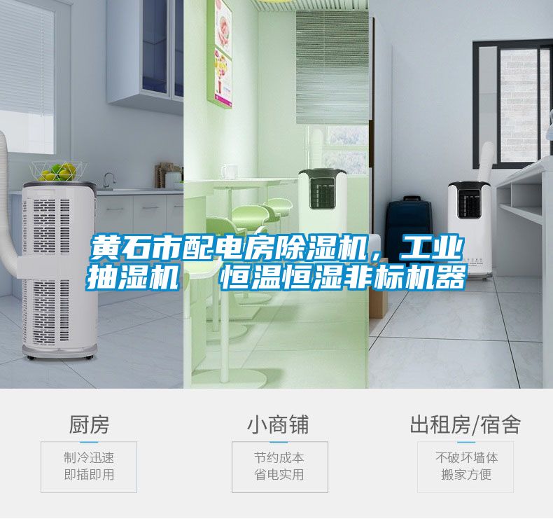 黄石市配电房好色先生污污版，工业抽湿机  恒温恒湿非标机器