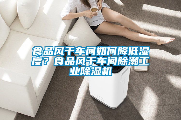 食品风干车间如何降低湿度？食品风干车间除潮工业好色先生污污版