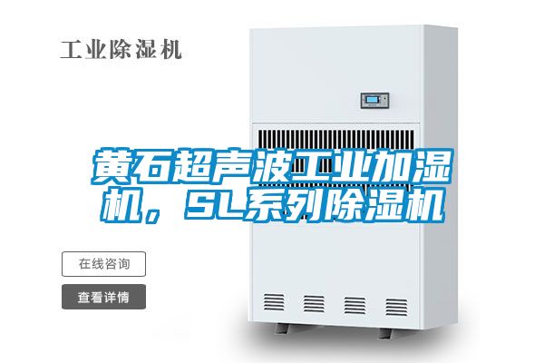 黄石超声波工业加湿机，SL系列好色先生污污版