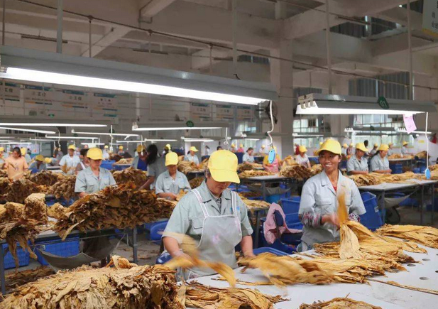 烟草行业加湿处理好色先生TV成人