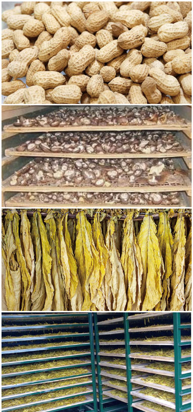 食用菌烘干处理好色先生TV成人